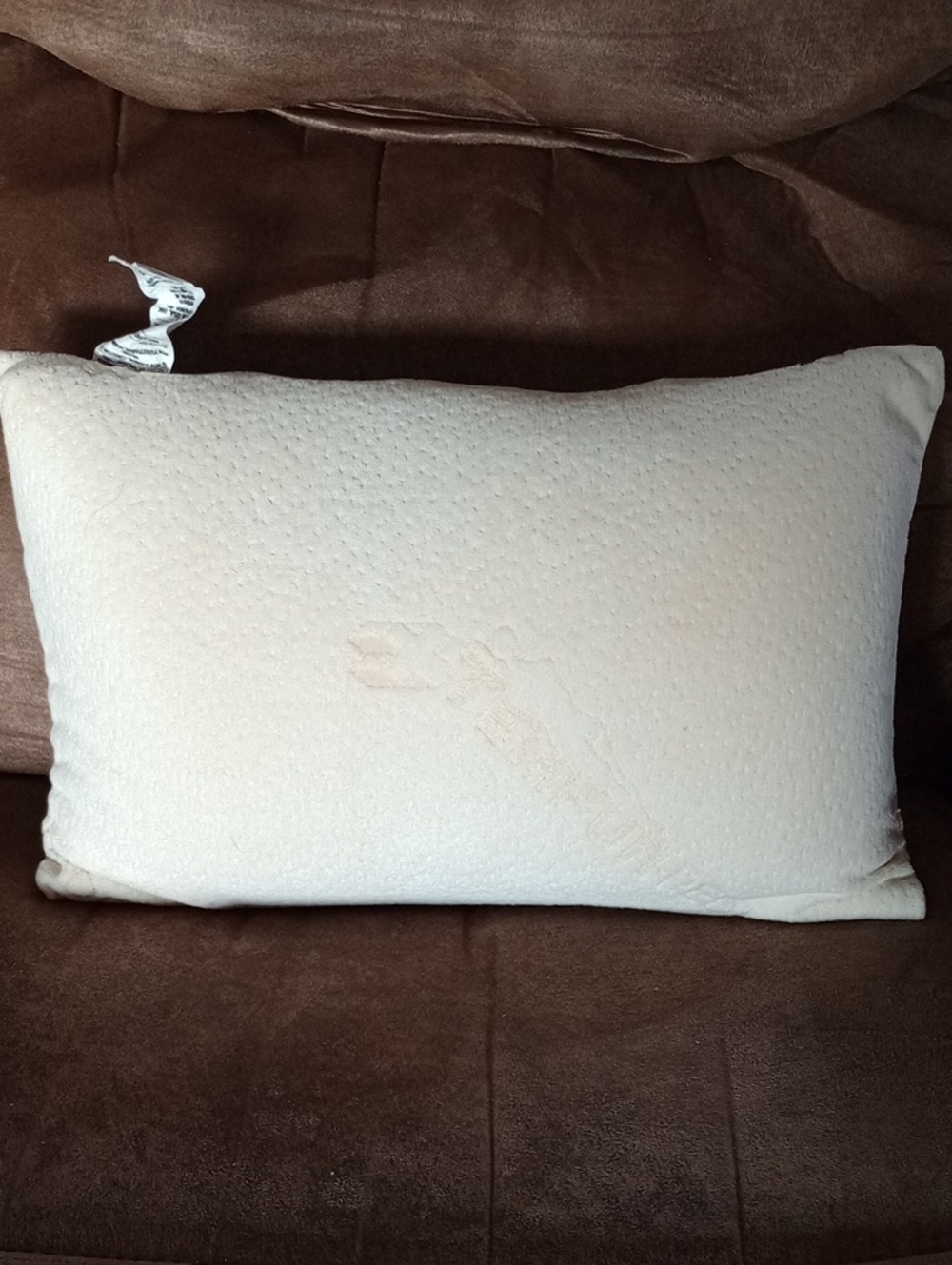 Temperpedic Travel Pillow